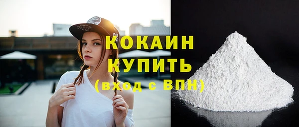 гидра Киреевск