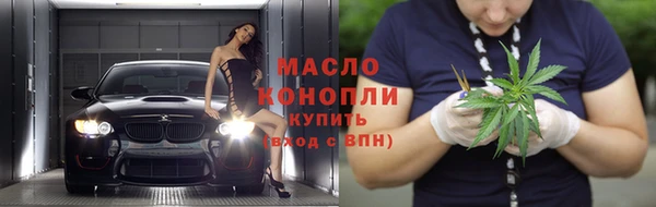 крисы Коряжма