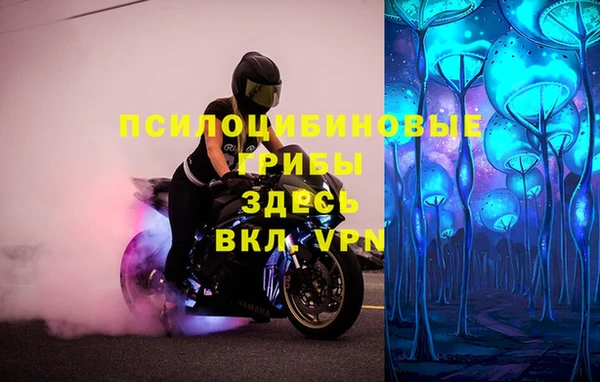 трава Киренск