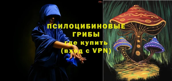 PSILOCYBIN Козловка