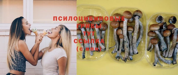 трава Киренск
