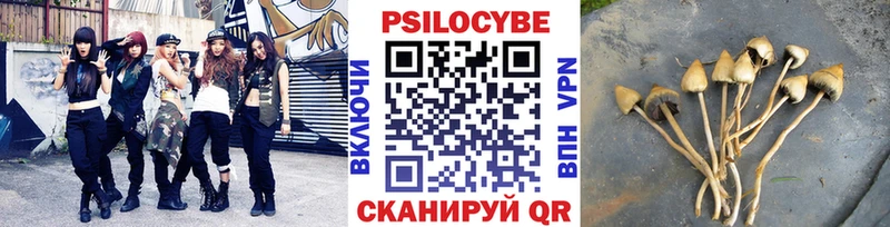 Галлюциногенные грибы GOLDEN TEACHER  Купить  Беслан 