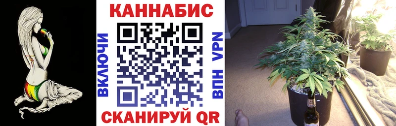 Купить где  Беслан  Бошки марихуана OG Kush 